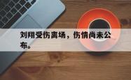 开云中国网站-刘翔受伤离场，伤情尚未公布。